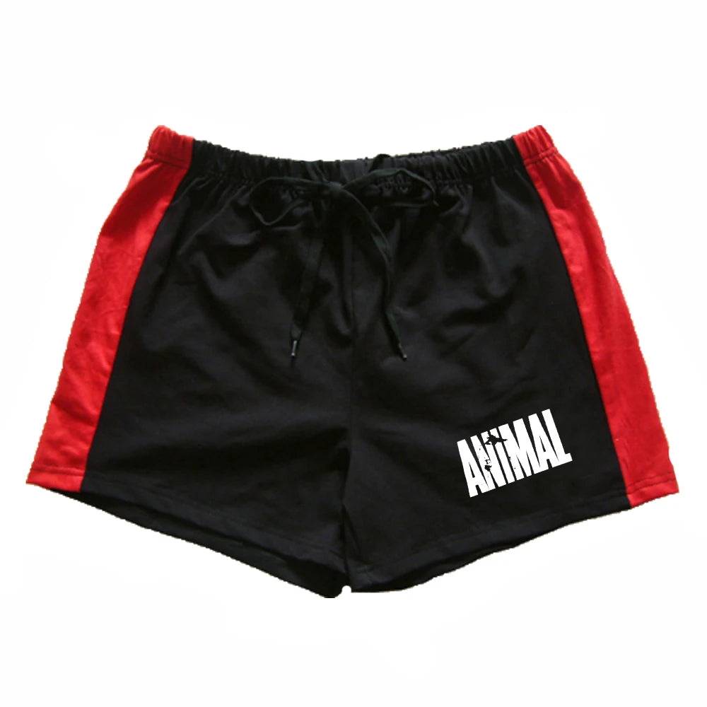 Short de sport homme été